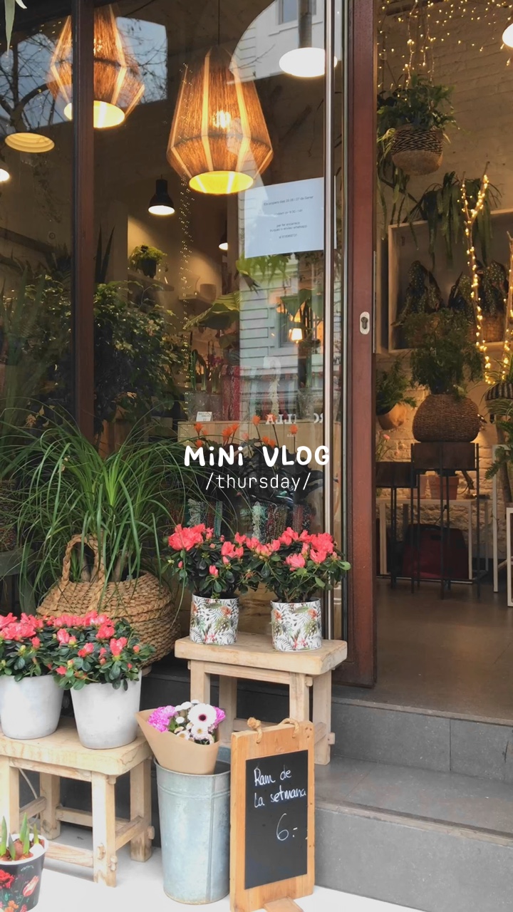 Vlog Mini
