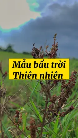 Mẫu thiên nhiên 