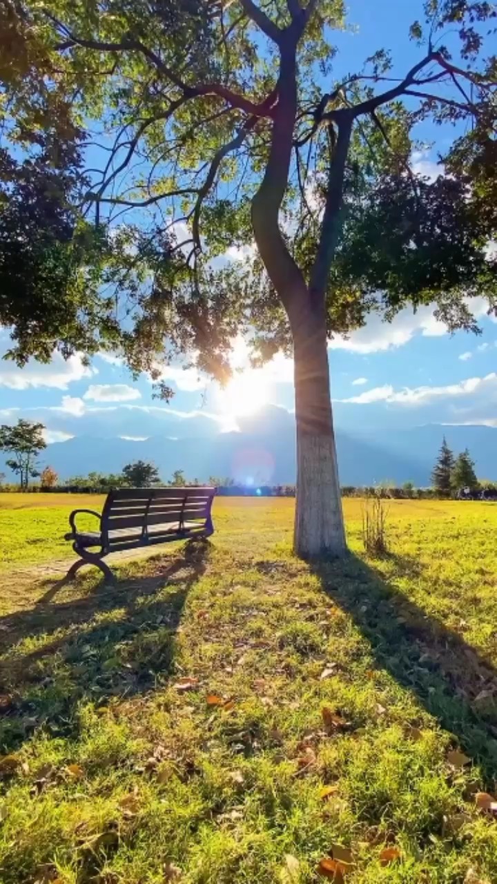 vlog 
