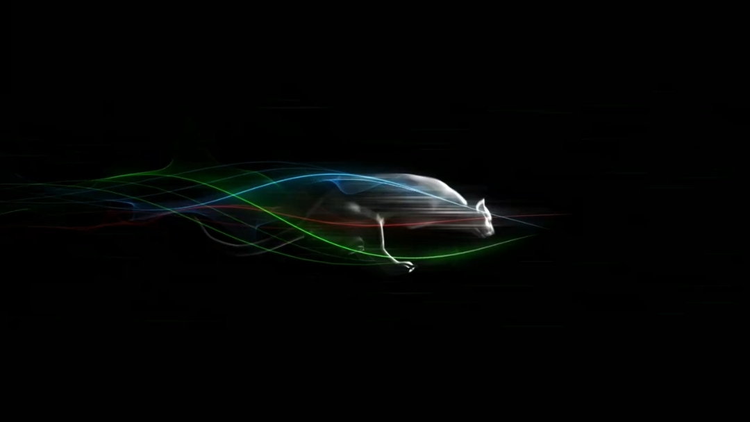 Puma ²
