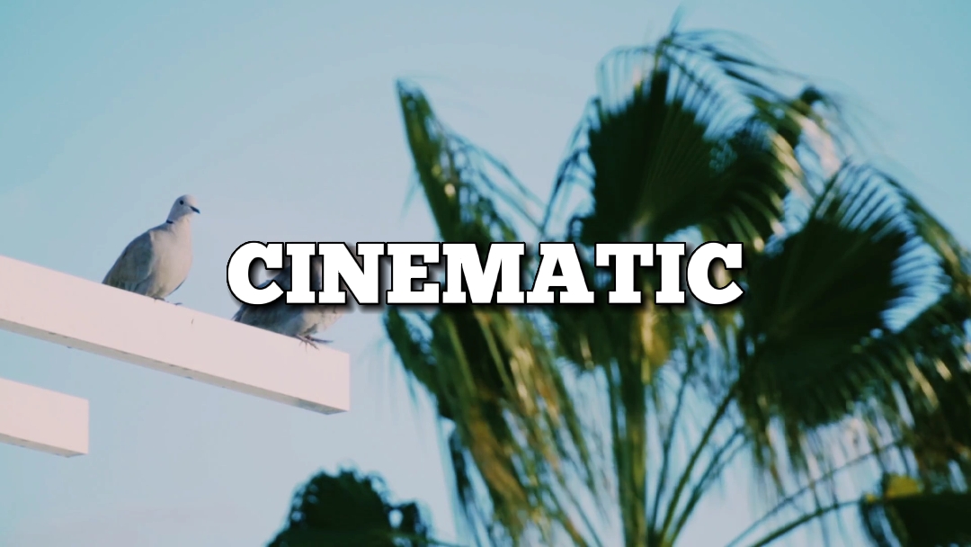 CINEMATIC TEMPLATE 