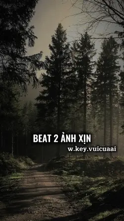 Beat 2 ảnh