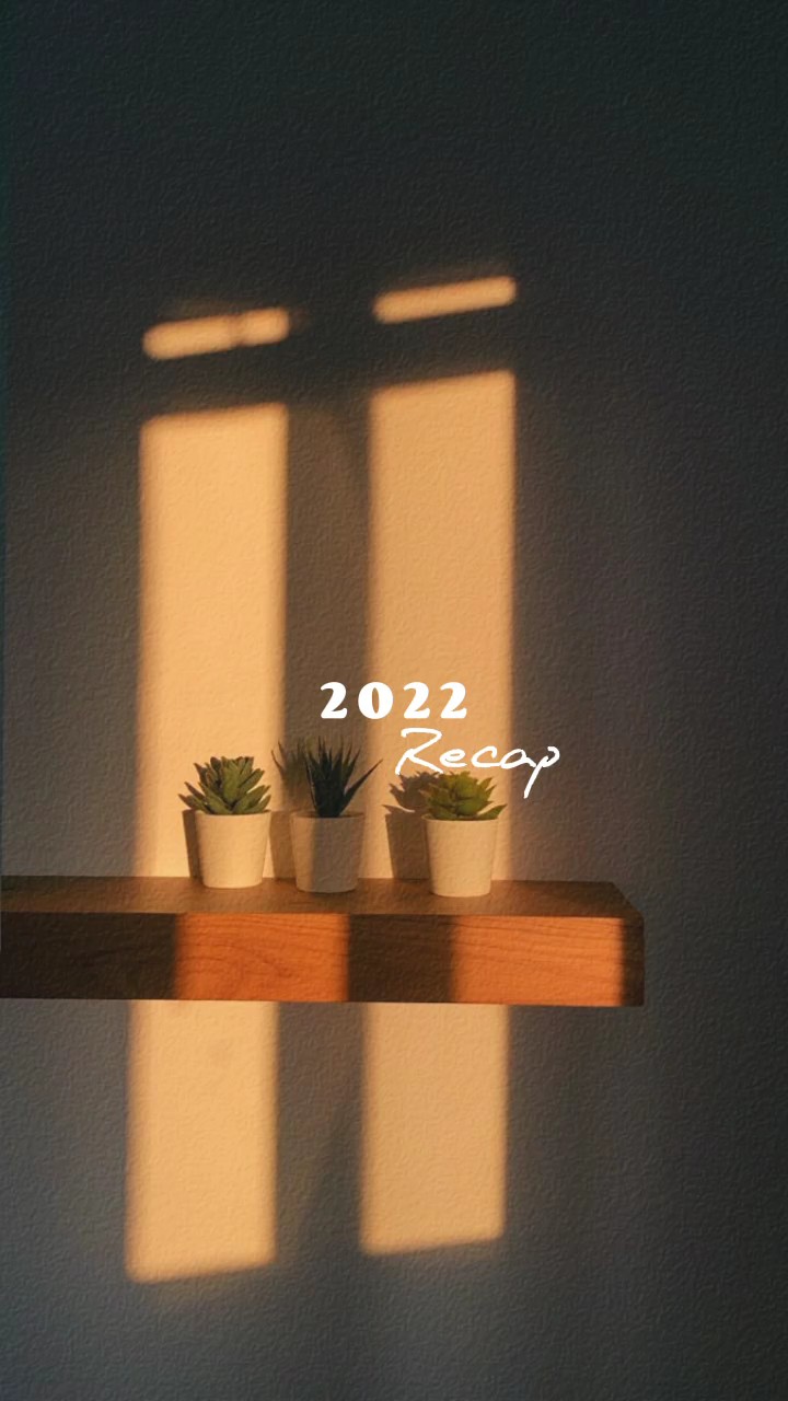 2022 Resumen vintage 