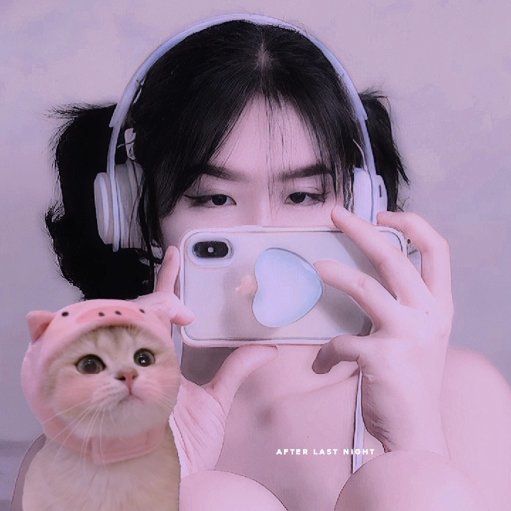어젯밤 이후 