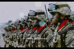 tentara nasional