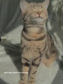 don't stay away