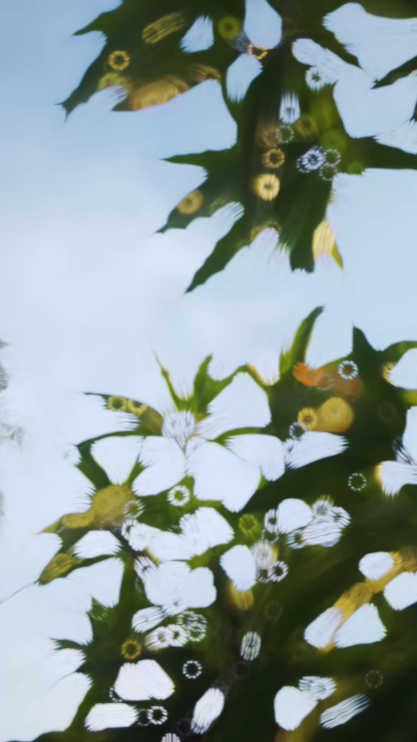 Cinematic Slomo