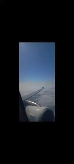 제주도 갔다오면 꼭 써야하는 템플릿