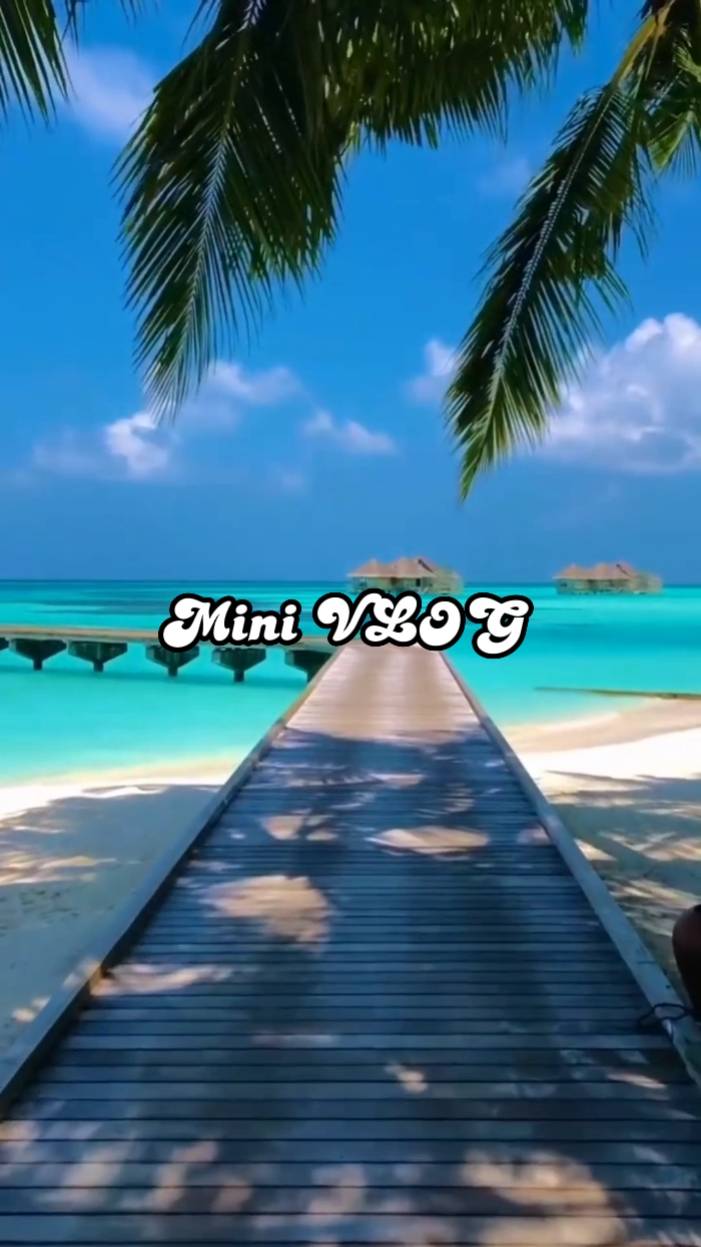 VLOG 8 Klip 12,02
