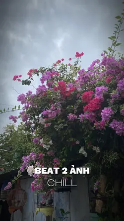 BEAT 2 ẢNH