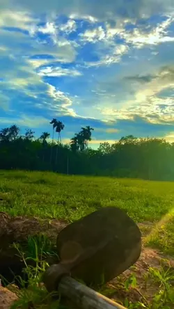 Slow chill
