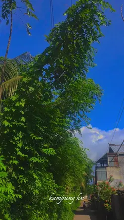 Vlog deket rumah