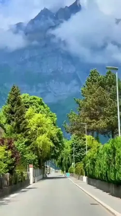 Nhạc hay cảnh đẹp .
