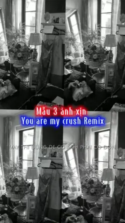 You are my crush