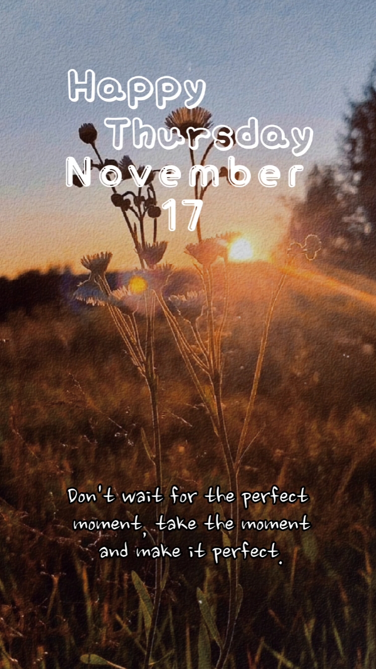 17 DE NOVEMBRO DE 2022