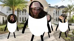 versi ber 4