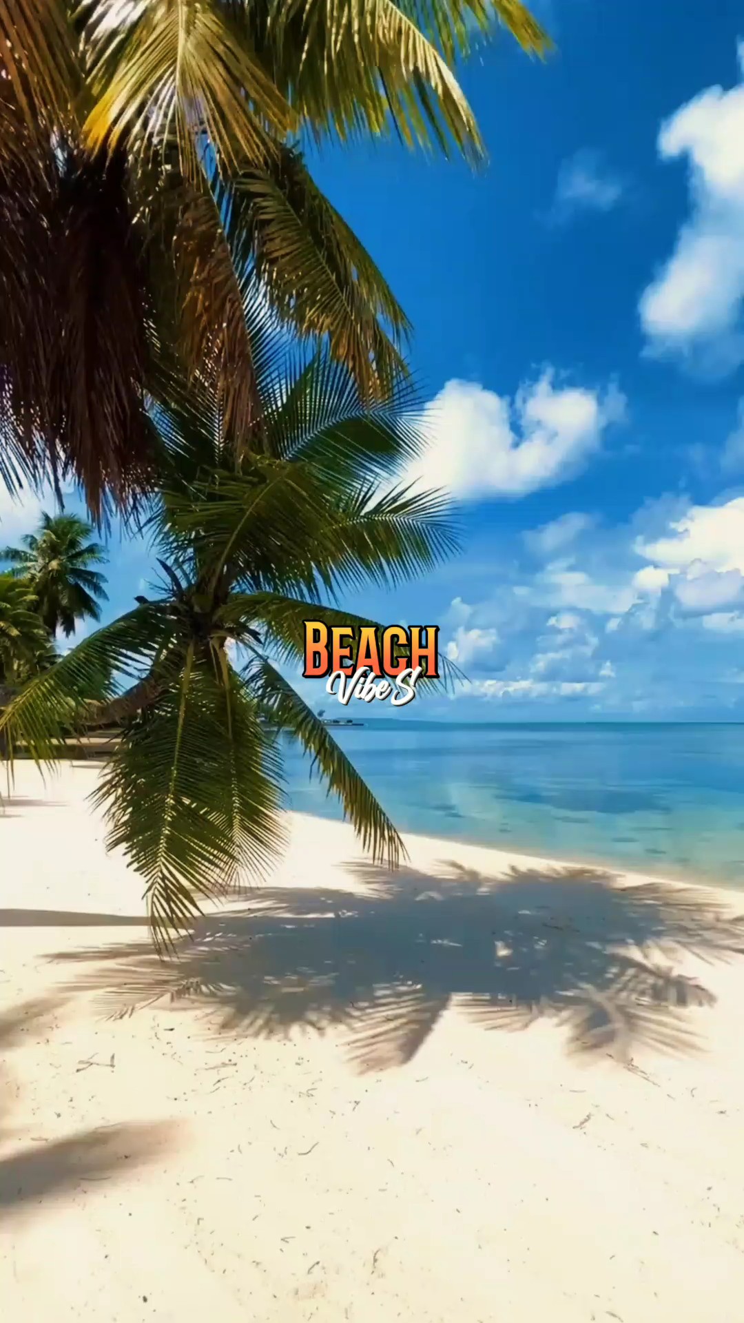 Vibraciones de playa