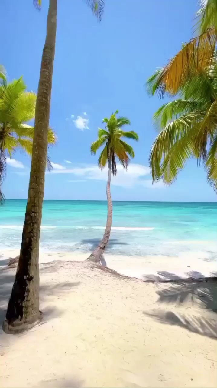 Beach View