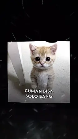 Poker face vers solo