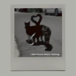 you belong with me