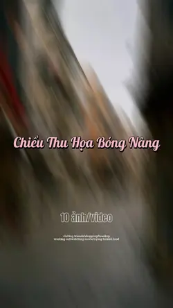 Mẫu 10 ảnh 