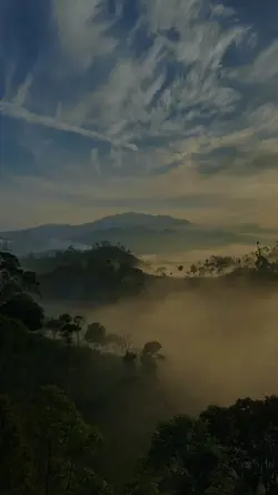 vibes alam