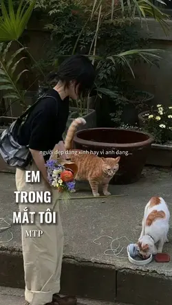 EM TRONG MẮT TÔI MTP