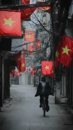 Hào khí Việt Nam 