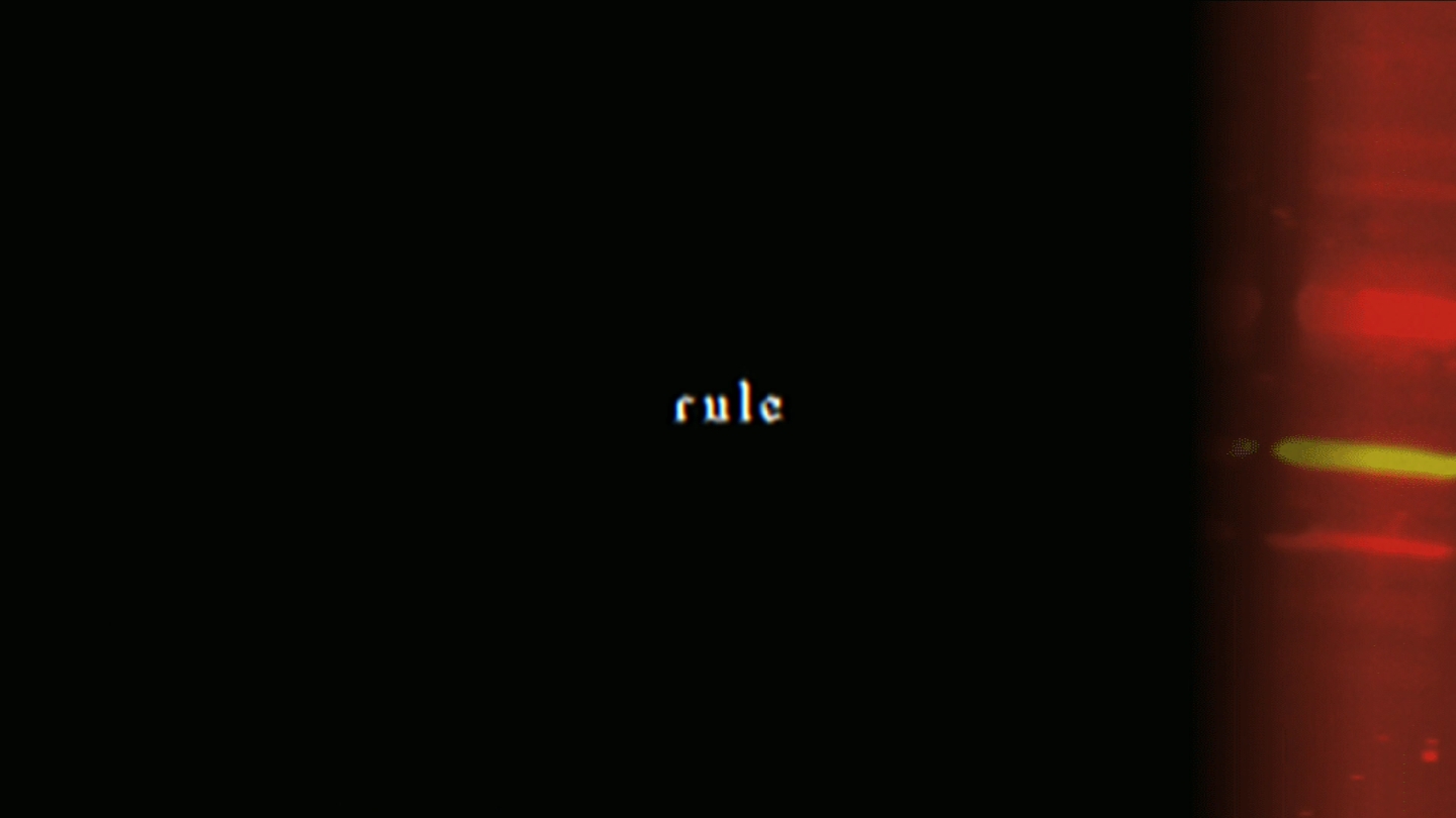Regra nº 33