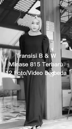 Transisi Estetik B&W