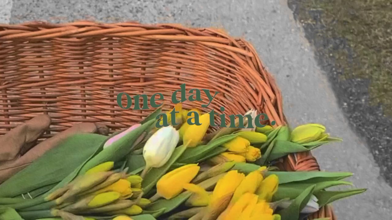 mini vlog versi 16: 9