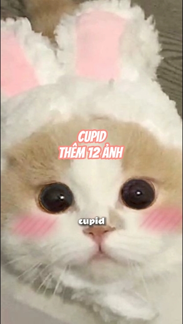 큐피드 