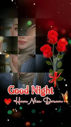 have nice dream 