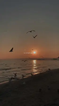 slowmotion
