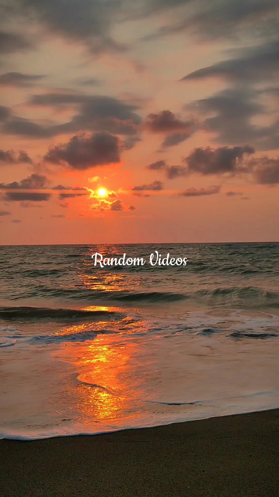Random Videos