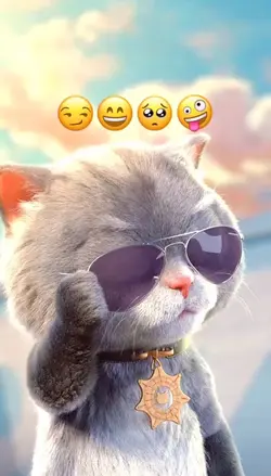Mèo Cool ngầu
