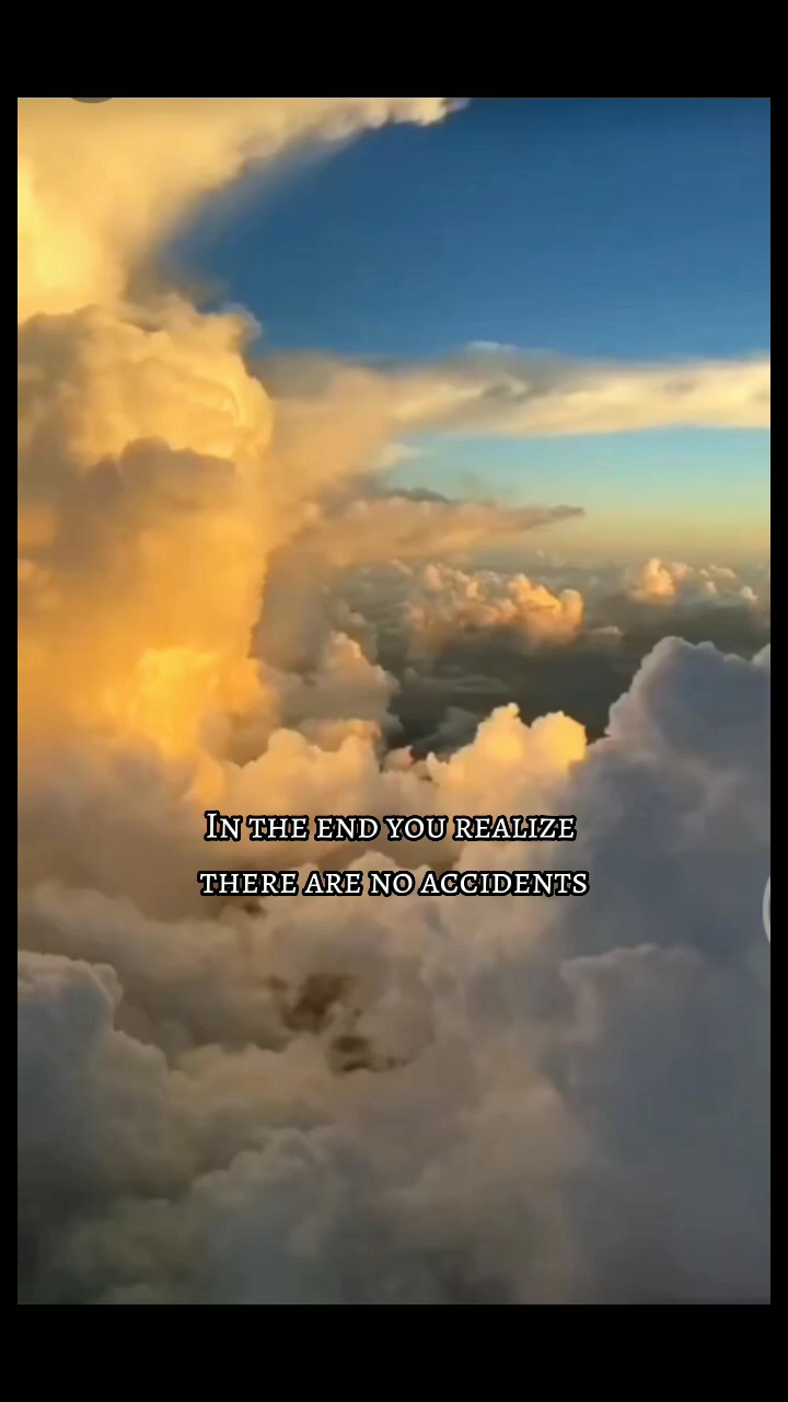 Auto-reflexão 