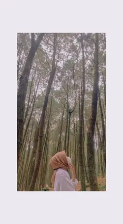 filter iphone