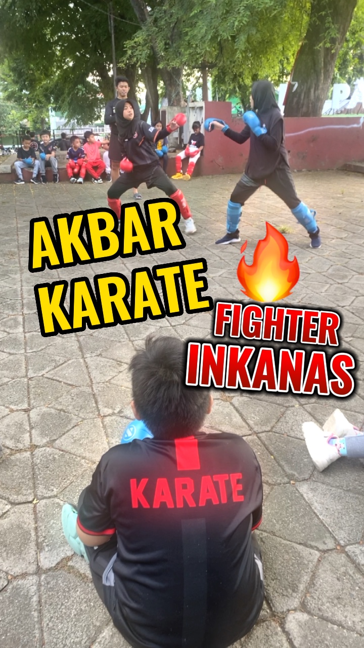 Karatê lutador 