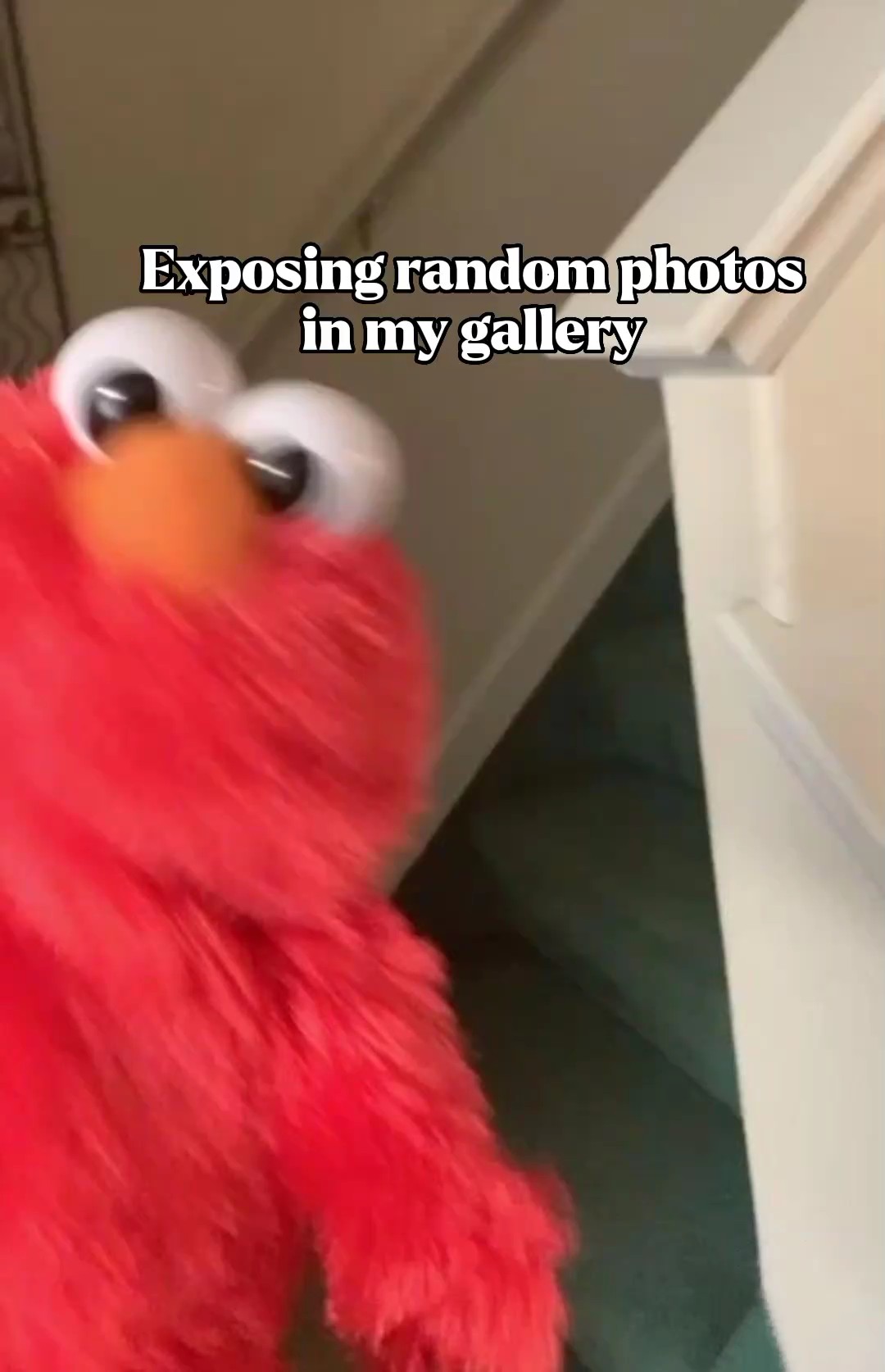 Exponiendo fotos de RNDM