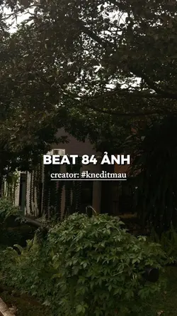 BEAT 84 ẢNH