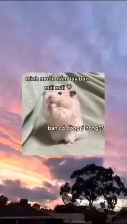 Dong y khong?!