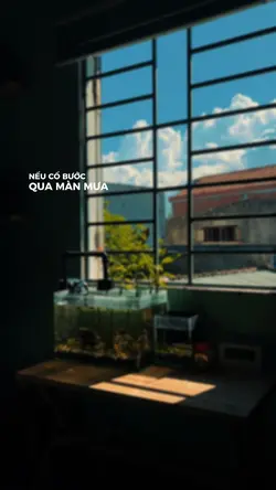 Nếu cố bước qua màn