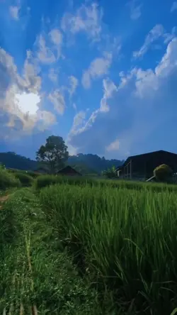 Jedag jedug x slowmo