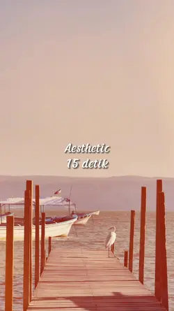 Aesthetic 15 detik