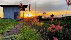 cinematic slow