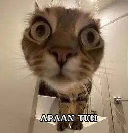 APAAN TUH