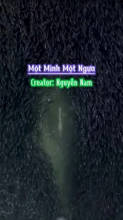 Một mình một ngựa
