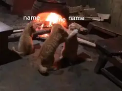 repost "name"