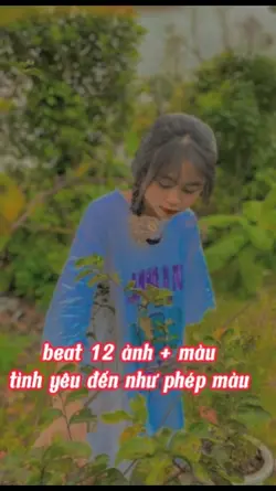 beat 12 ảnh + màu